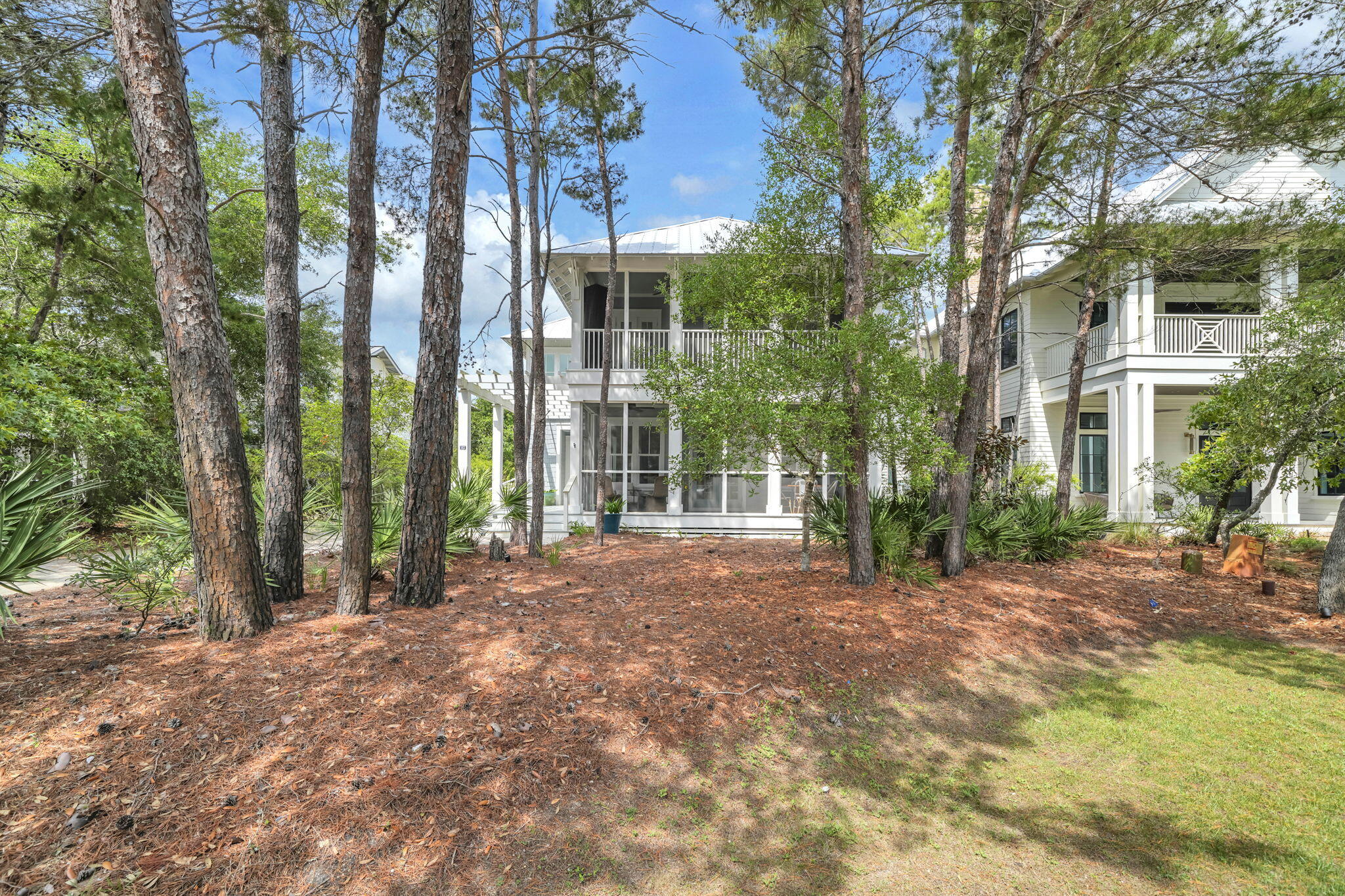 123 Chance Lane Inlet Beach, FL 32461 - Photo 57 of 98 2-web-or-mls-DSC07101