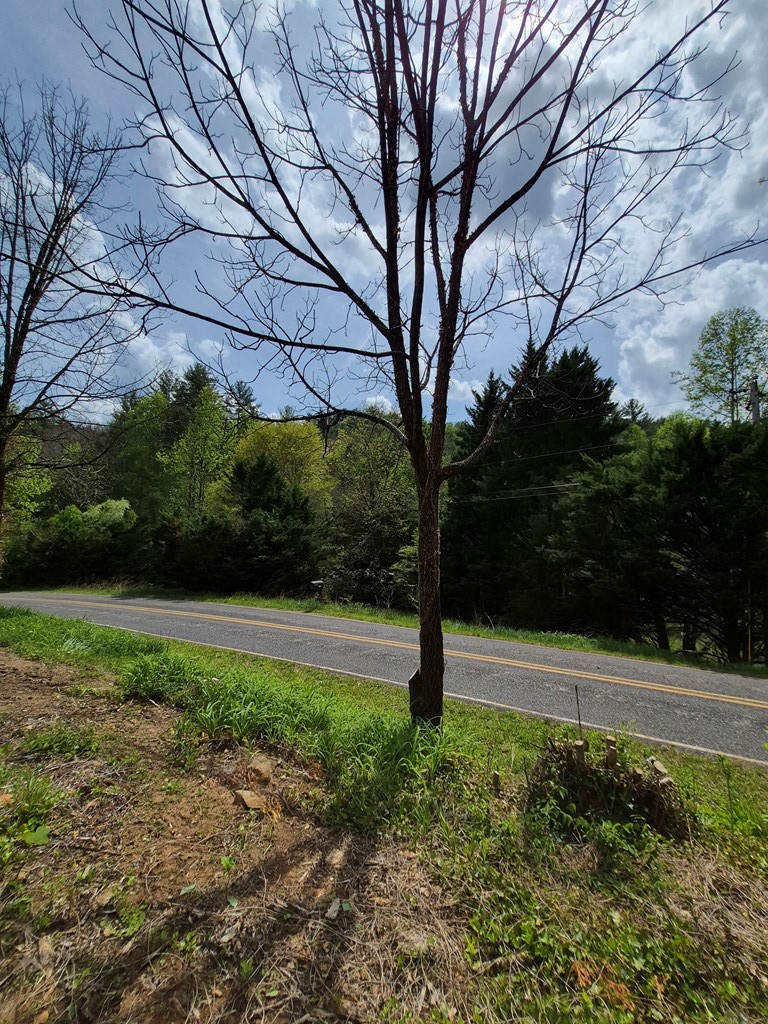 1132 Dockery Crk Road Murphy, NC 28906 - Photo 46 of 52 View of Dockery Creek Rd