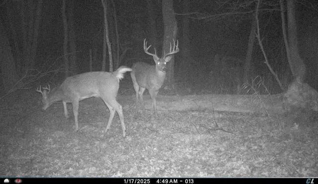 $975,000 | N8510 Fish, New Lisbon, WI 53950