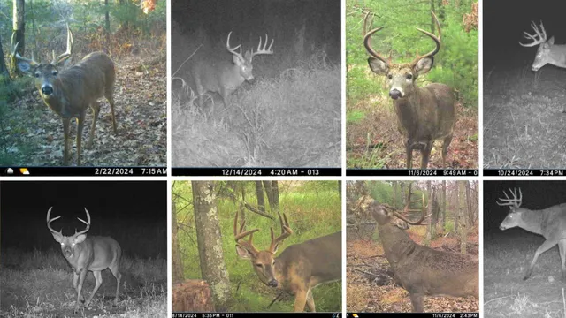 $975,000 | N8510 Fish, New Lisbon, WI 53950