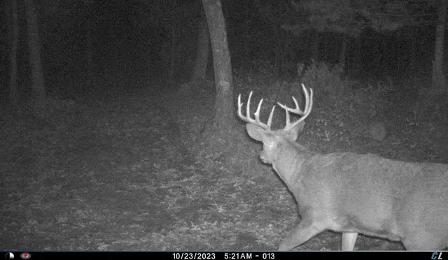 $975,000 | N8510 Fish, New Lisbon, WI 53950