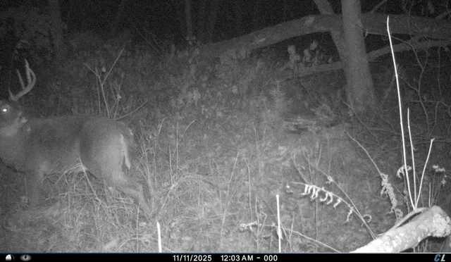 $975,000 | N8510 Fish, New Lisbon, WI 53950