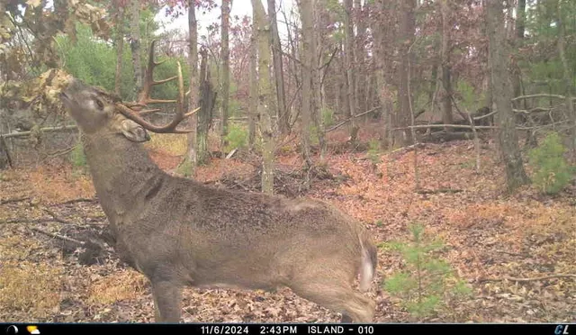 $975,000 | N8510 Fish, New Lisbon, WI 53950