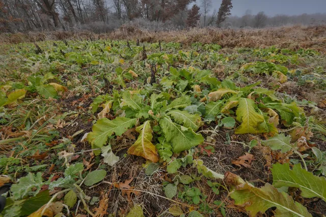 $975,000 | N8510 Fish, New Lisbon, WI 53950