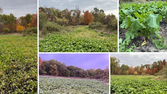 $975,000 | N8510 Fish, New Lisbon, WI 53950