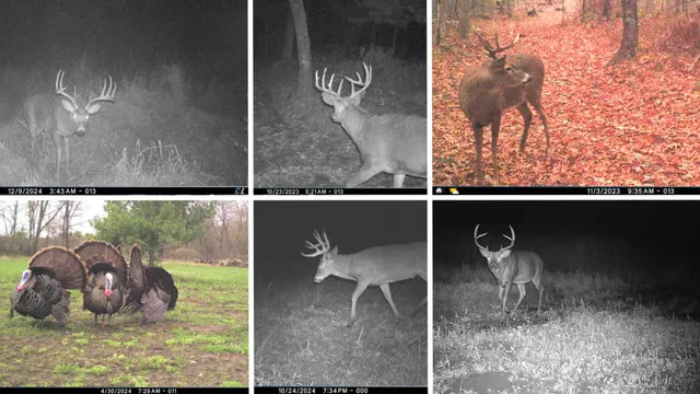 $975,000 | N8510 Fish, New Lisbon, WI 53950