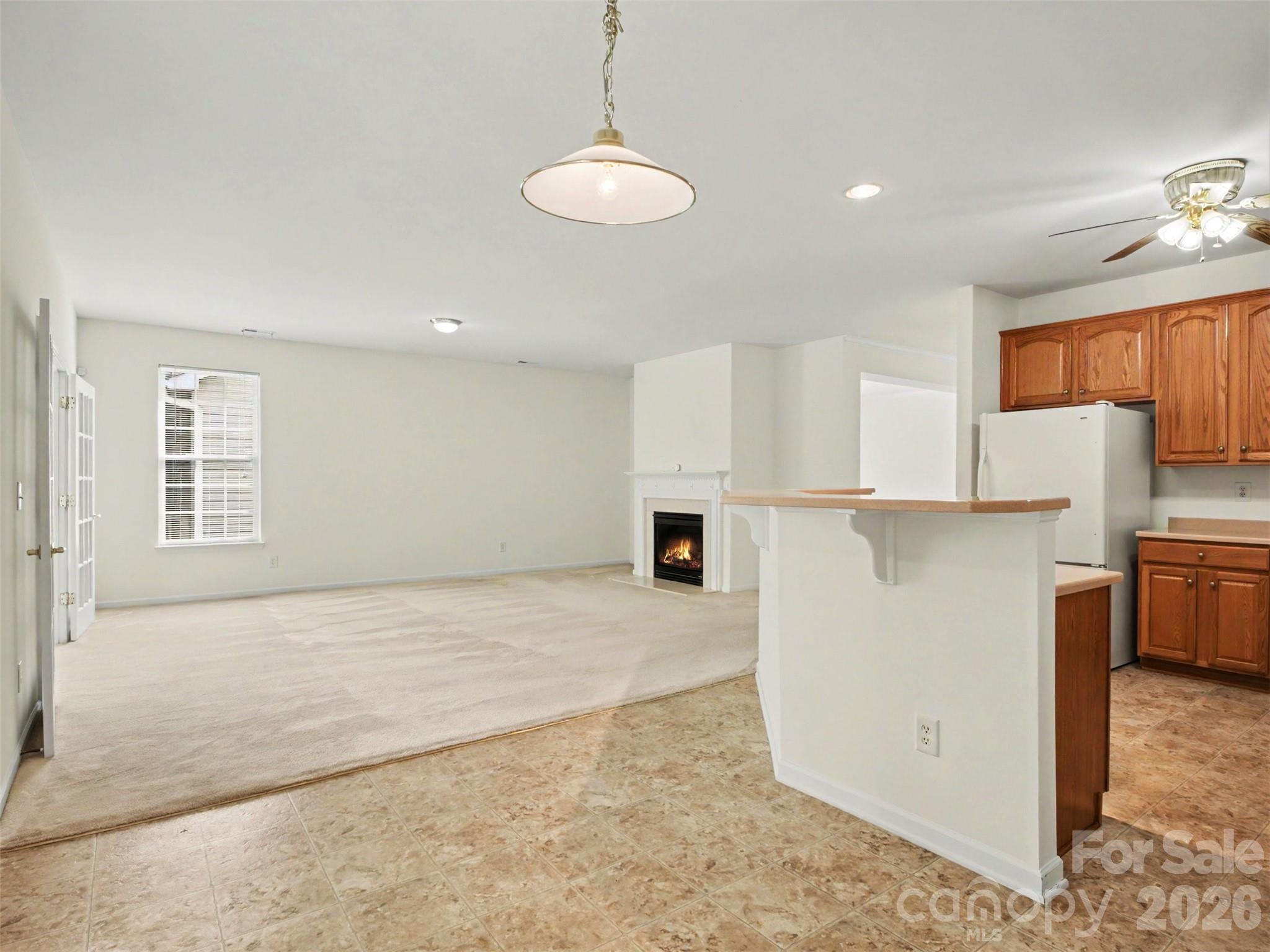 834 Platinum Drive Fort Mill, SC 29708 - Photo 18 of 47