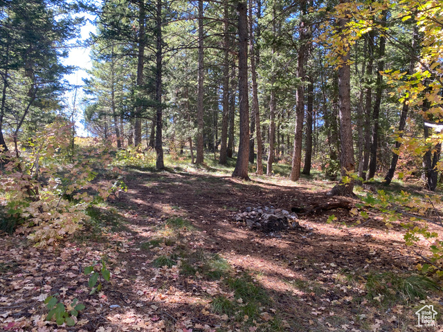 St, Unit 56 Bancroft, ID 83217 - Photo 8 of 17