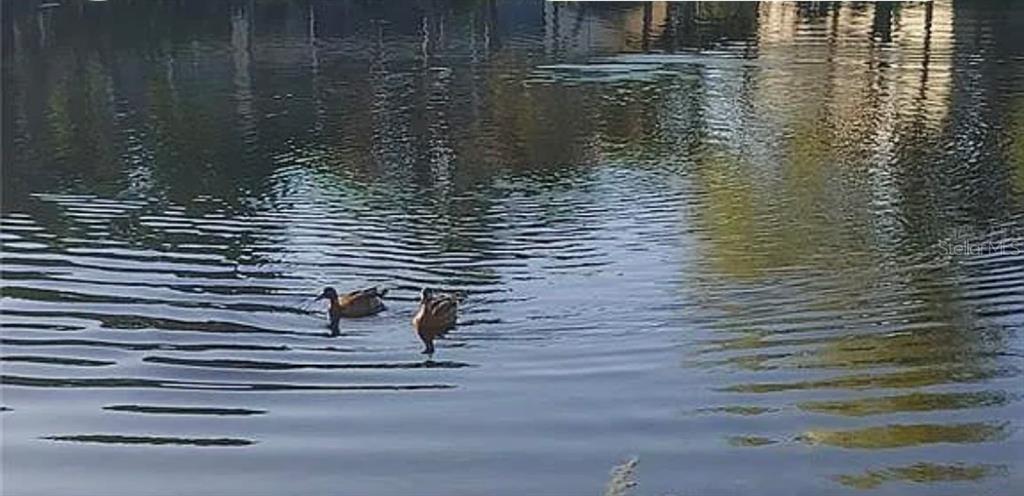 6101 34th Street West, Unit 32H Bradenton, FL 34210 - Photo 62 of 67