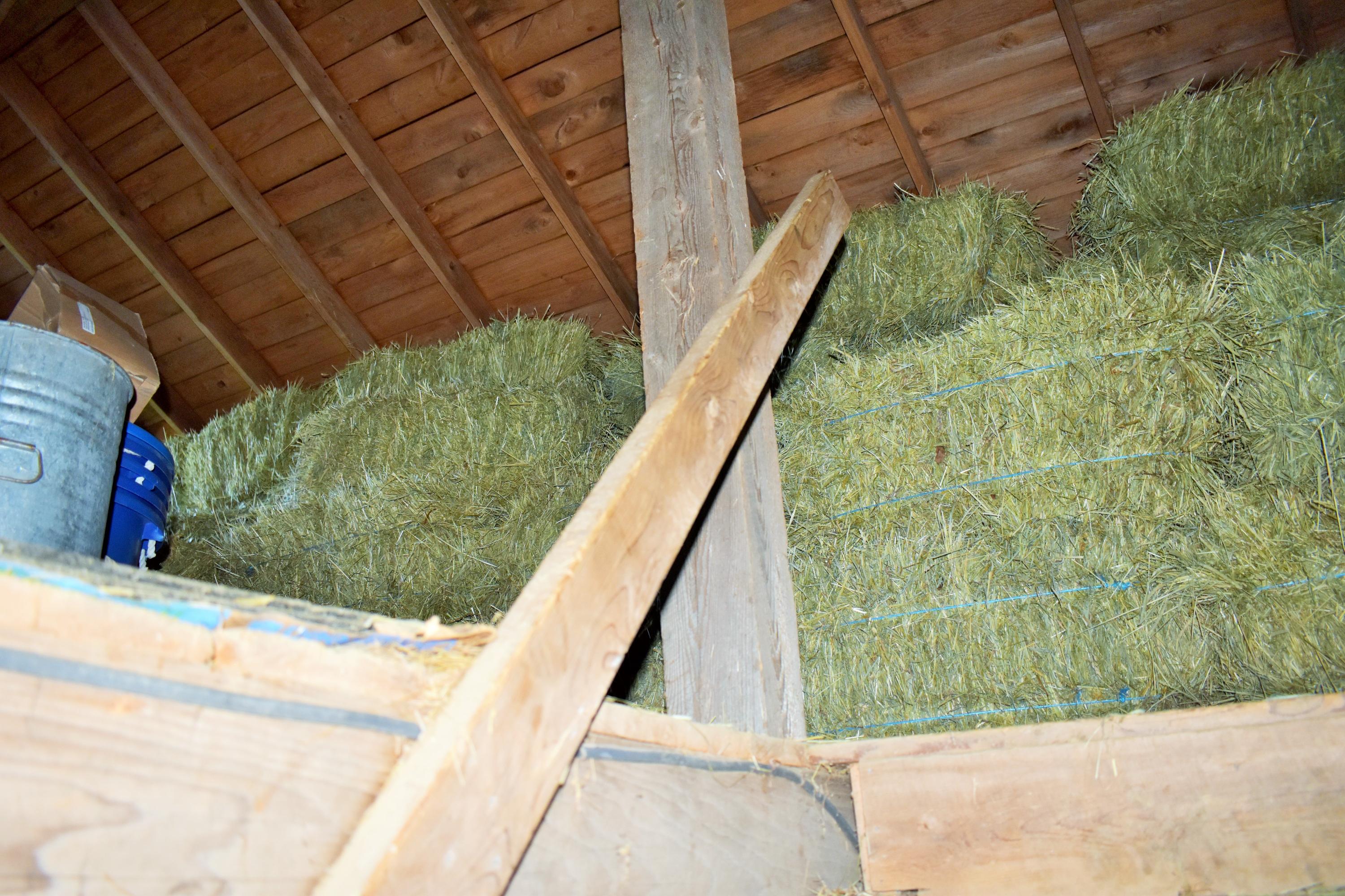 172 Parkman Road Garland, ME 04939 - Photo 44 of 63 44