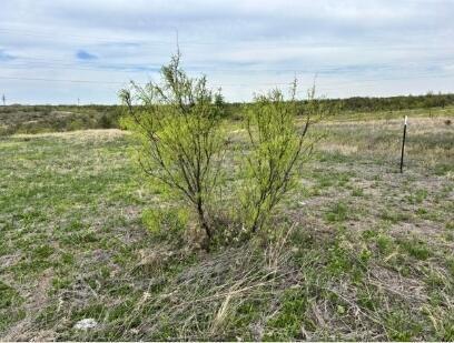 102 Par Avenue Borger, TX 79007 - Photo 2 of 6 a view of a lake with a big yard