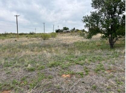 102 Par Avenue Borger, TX 79007 - Photo 4 of 6 a view of a yard with an trees