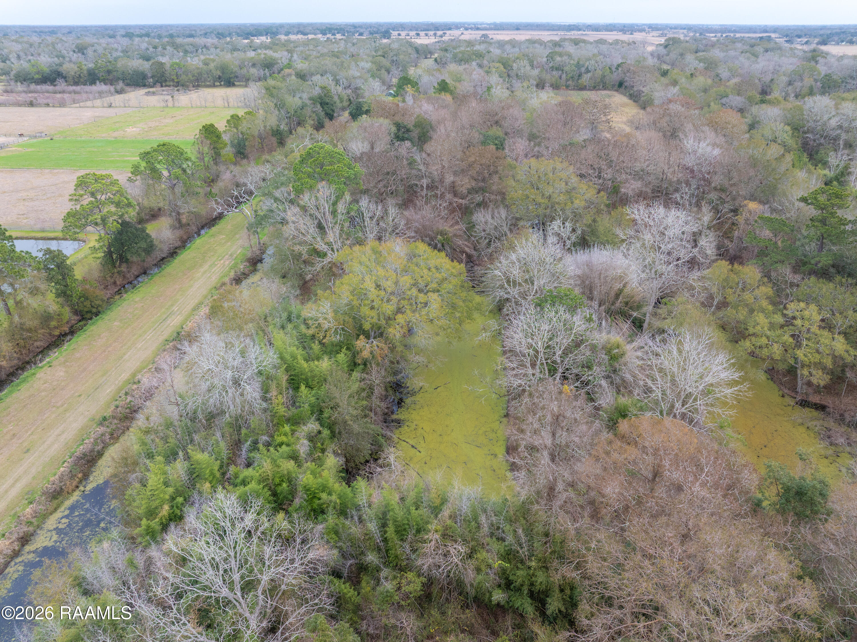 5114 Rip Van Winkle Road New Iberia, LA 70560 - Photo 17 of 19 5114RipVanWinkle-12