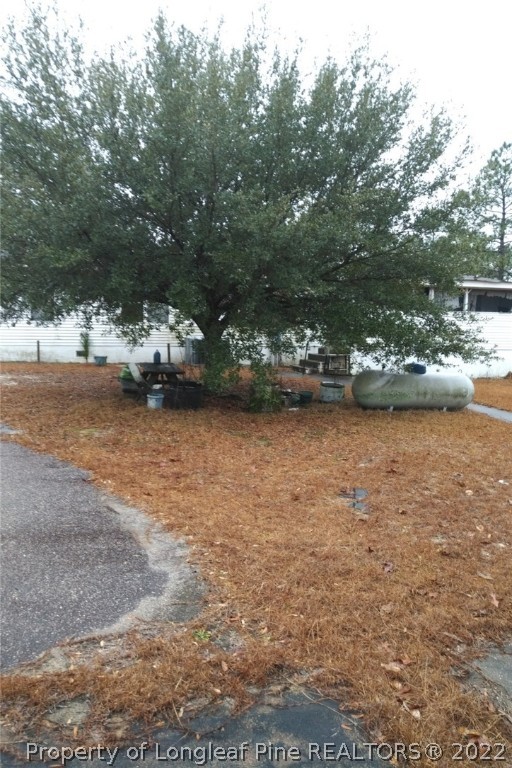 723 Fox Road Hamlet, NC 28345 - Photo 11 of 26 a view of yard with green space