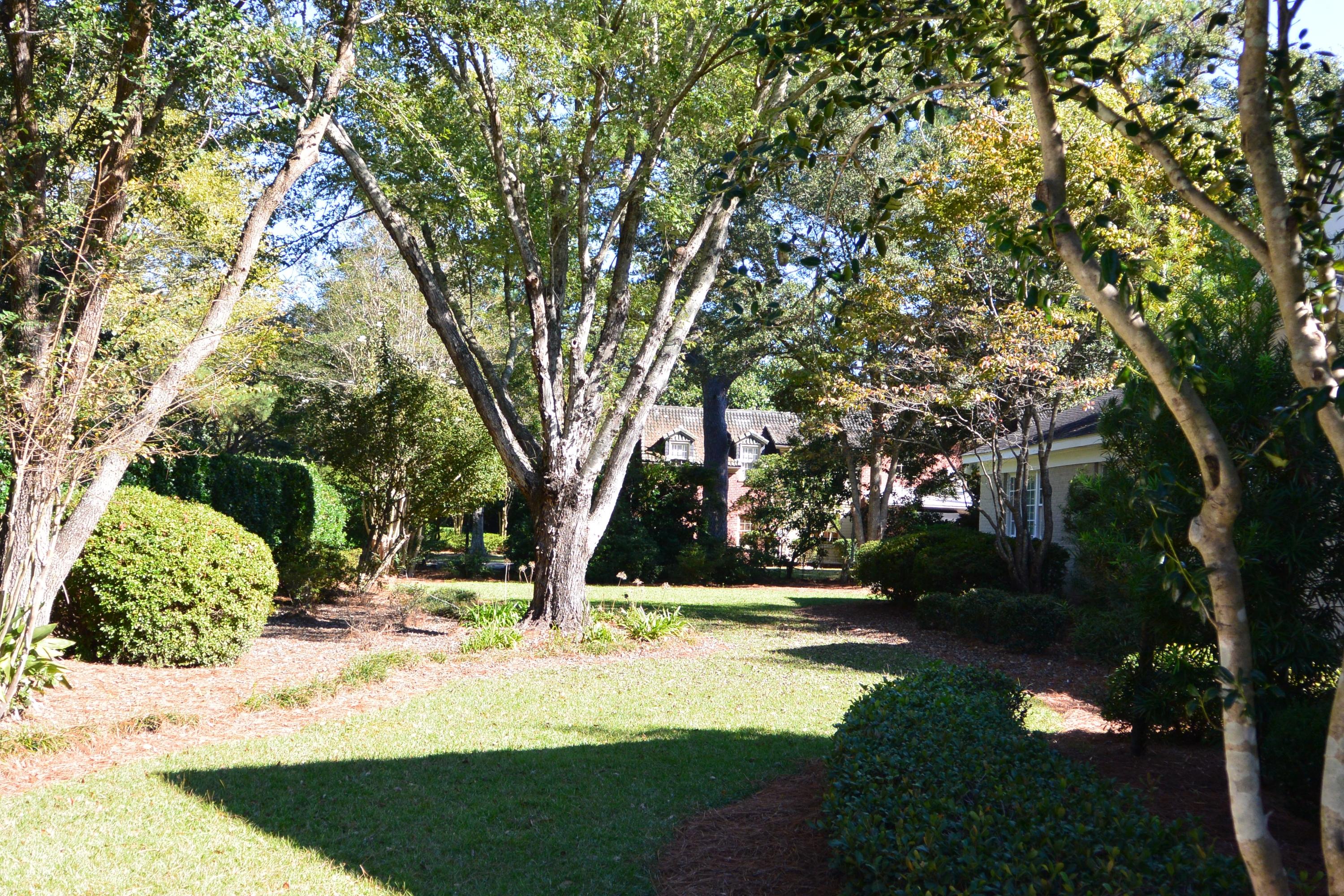 10 Nashmor Road Charleston, SC 29407 - Photo 12 of 12 DSC_1250
