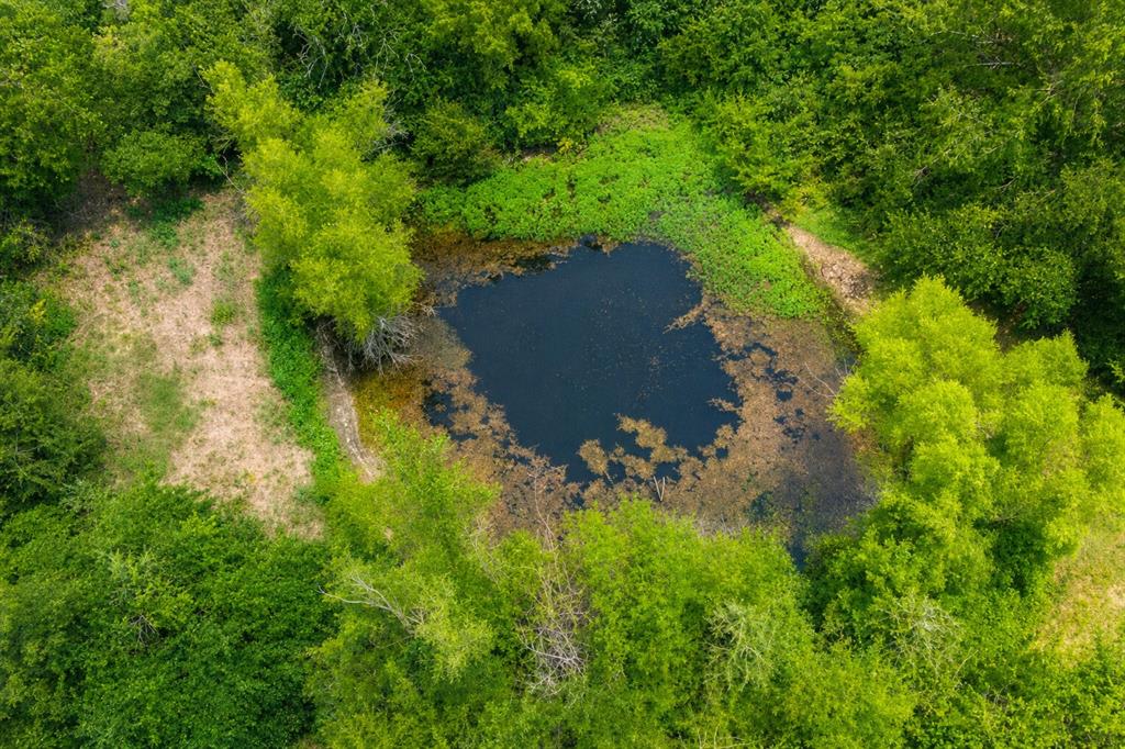 479 County Road Honey Grove, TX 75446 - Photo 15 of 18