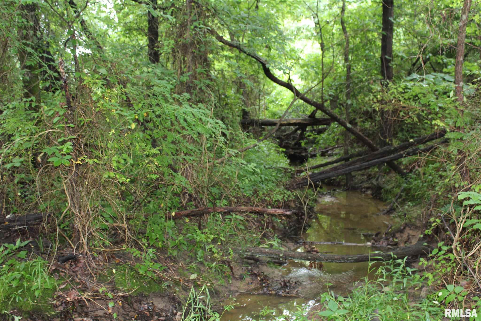 0 Old Rte 13 Carterville, IL 62918 - Photo 10 of 13 Gallery Image 10