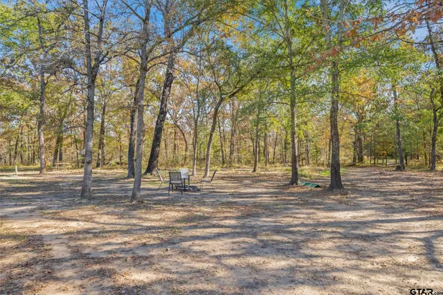 a backyard of a house with lots of green space and trees
