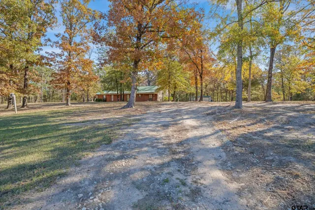 a view of a forest with trees