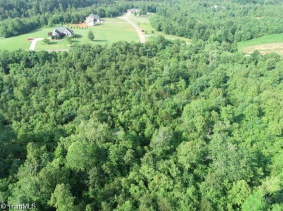 214 Riverchase Road Pinnacle, NC 27043 - Photo 3 of 6