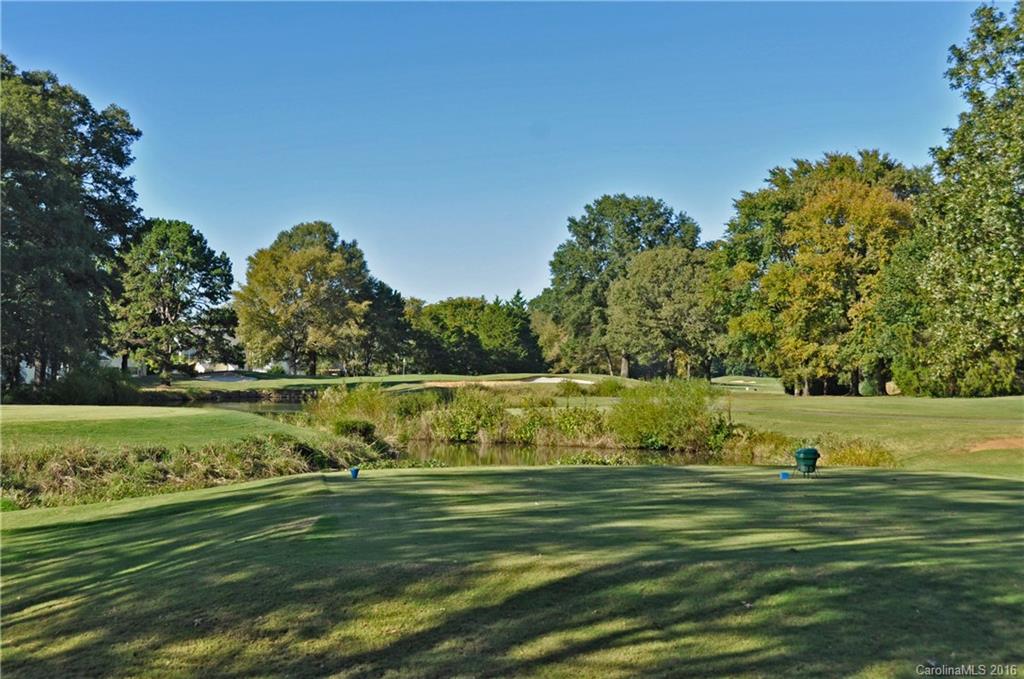 9924 Fairway Ridge Road Charlotte, NC 28277 - Photo 21 of 21 a view of a green field with an ocean
