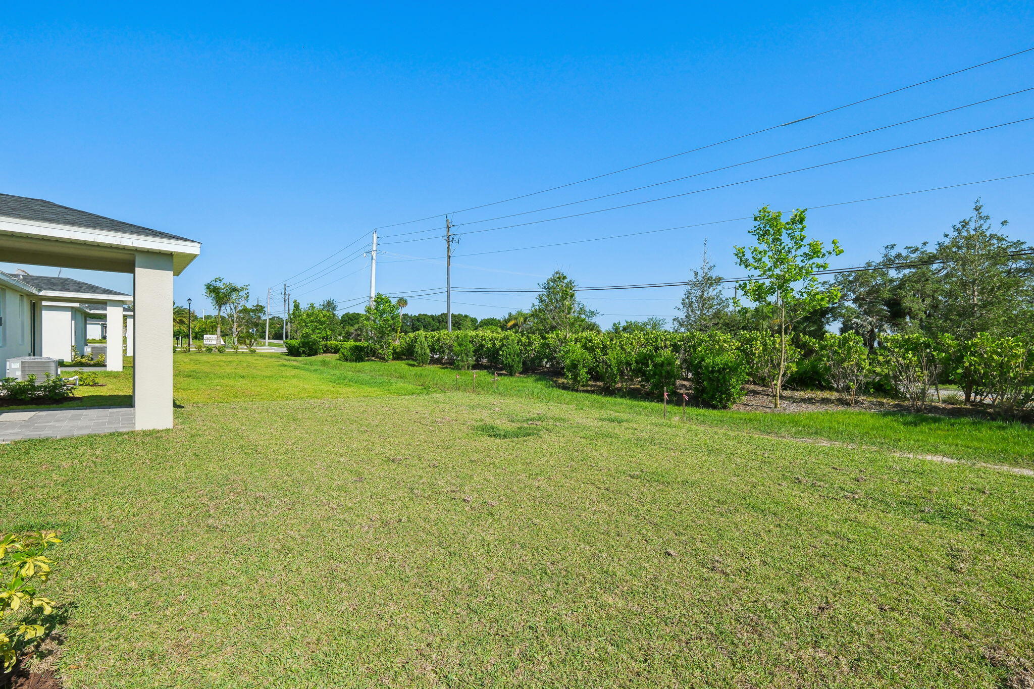 5413 Hampton Park Circle Vero Beach, FL 32966 - Photo 36 of 39 a view of a big yard with potted plants and large tree