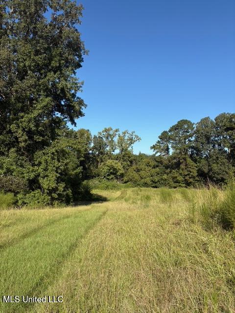 33 South S Highway Roxie, MS 39661 - Photo 8 of 11 cater14