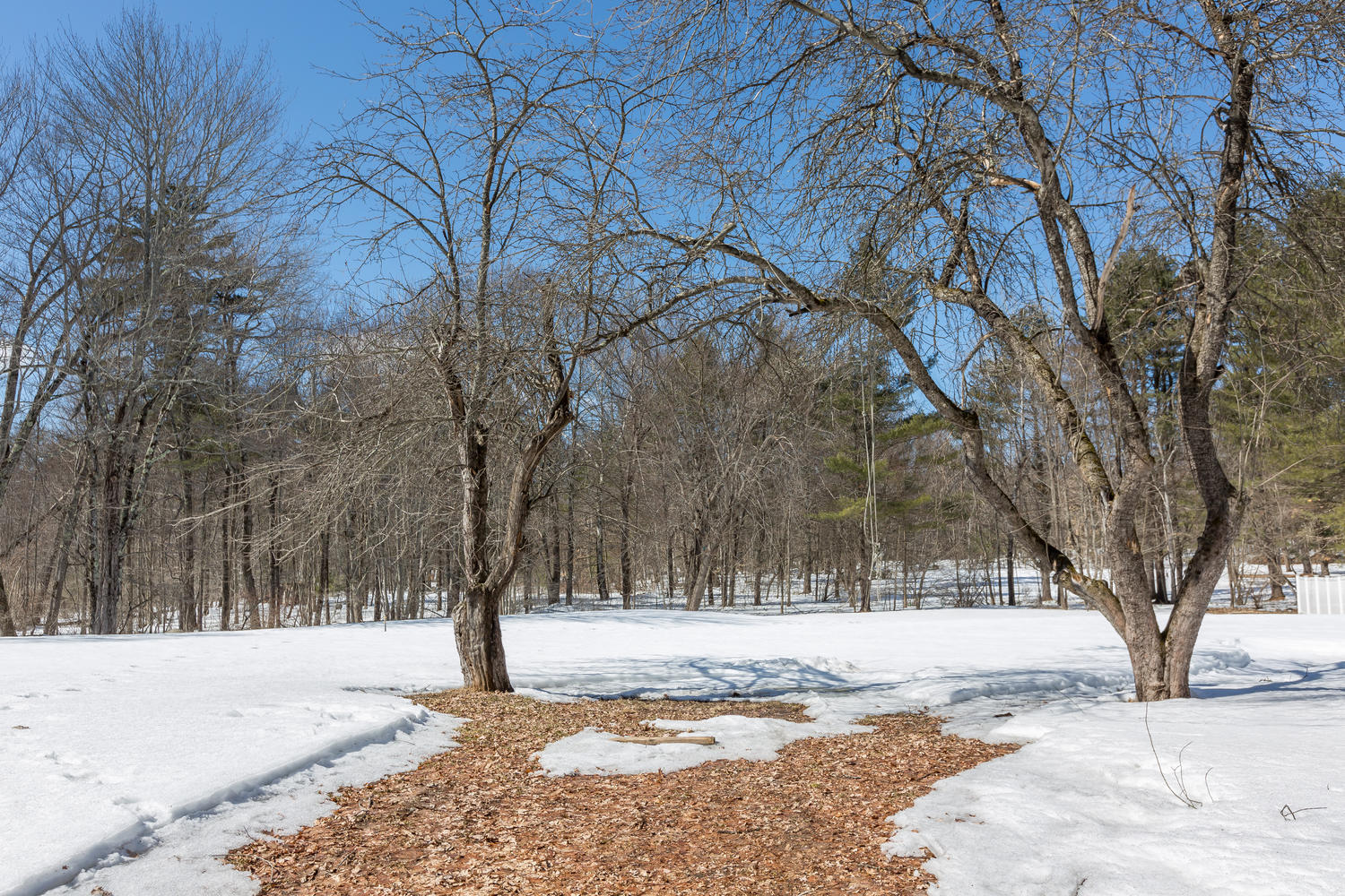 850 Chadbourne Road Standish, ME 04084 - Photo 3 of 45 850 Chadbourne Rd Standish ME-large-003-