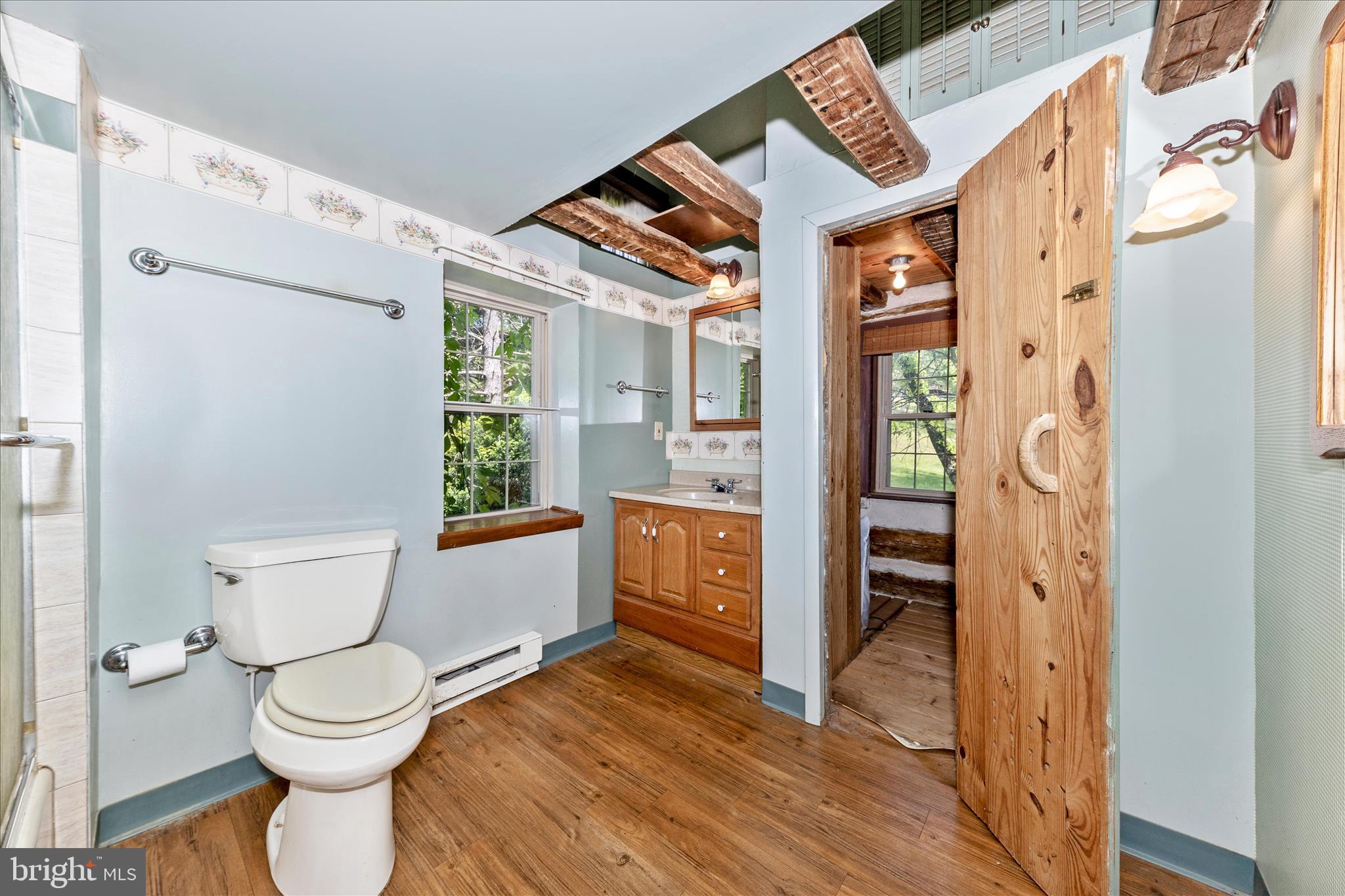 3020 Chestnut Grove Road Keedysville, MD 21756 - Photo 20 of 46 Main Bath with Sauna