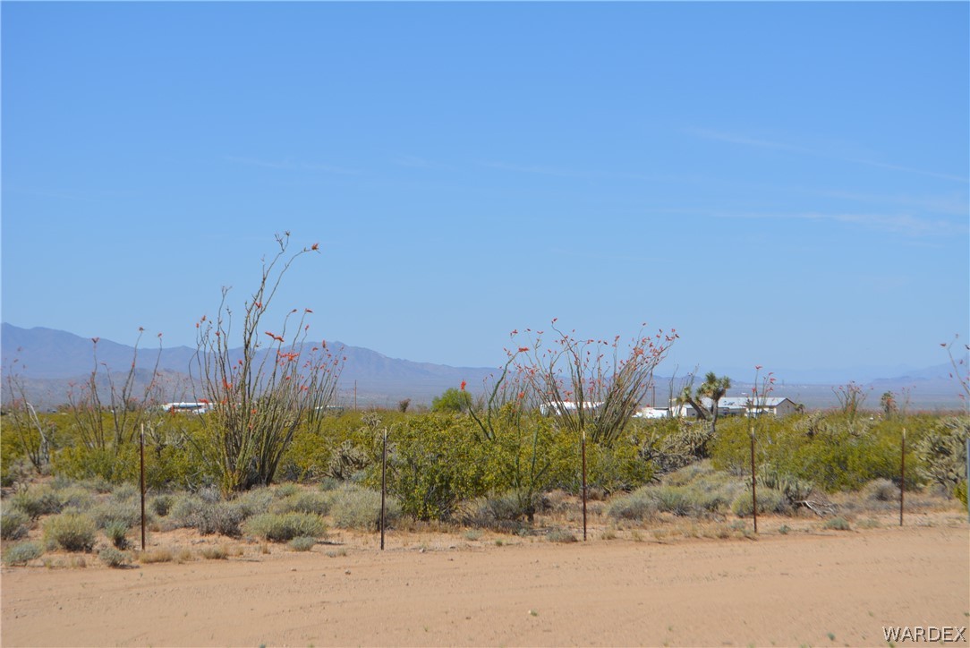 15355 Joshua Road Yucca, AZ 86438 - Photo 11 of 37