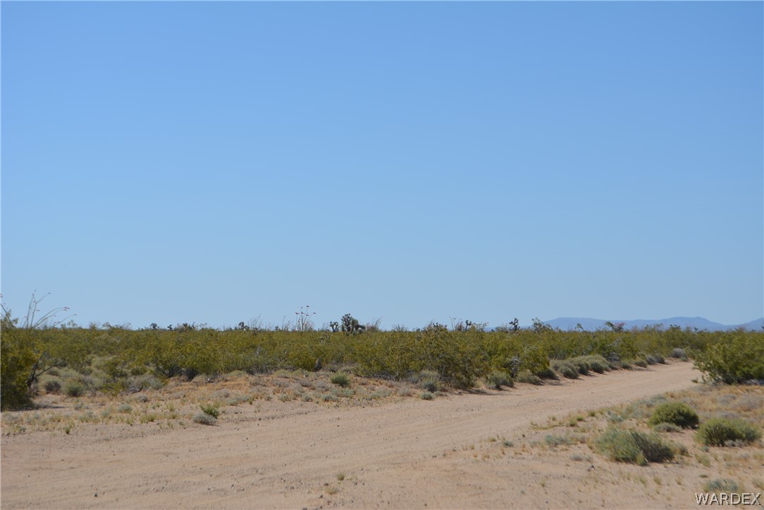 15355 Joshua Road Yucca, AZ 86438 - Photo 13 of 37