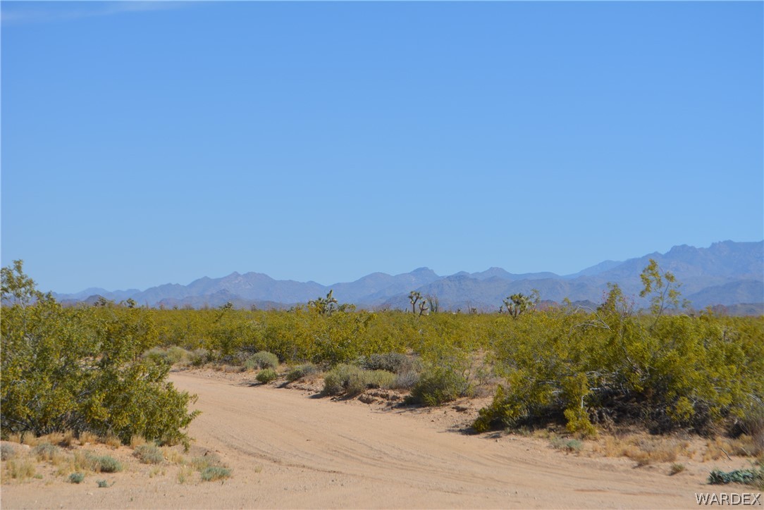15355 Joshua Road Yucca, AZ 86438 - Photo 14 of 37