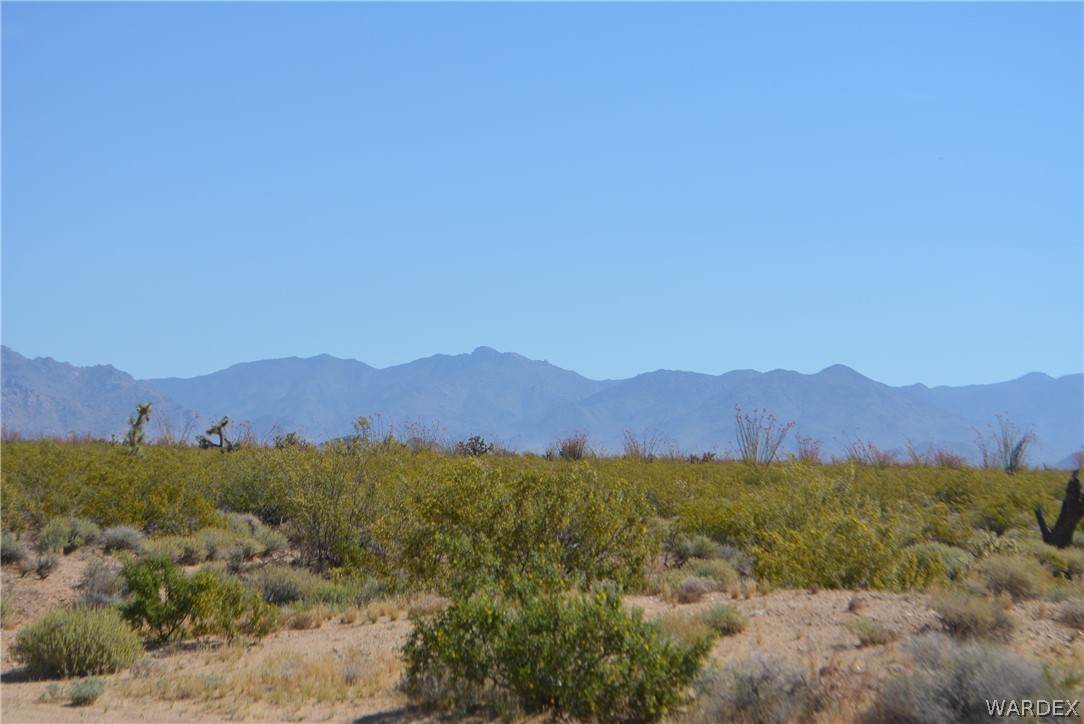15355 Joshua Road Yucca, AZ 86438 - Photo 16 of 37