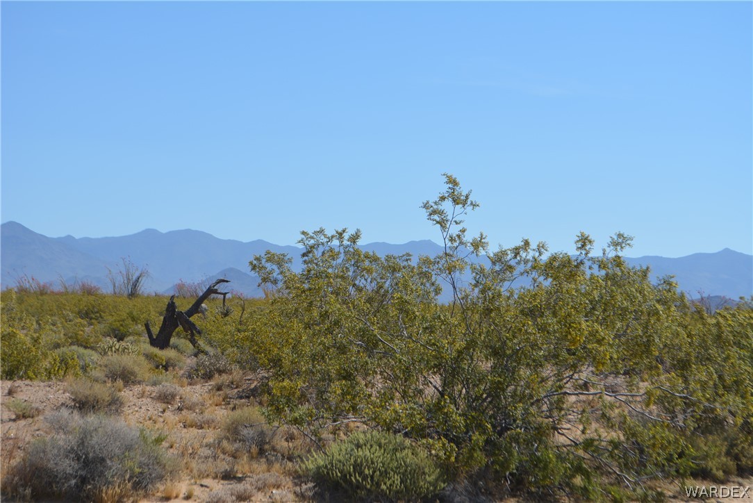15355 Joshua Road Yucca, AZ 86438 - Photo 17 of 37
