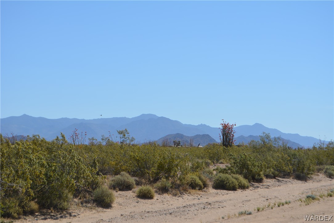 15355 Joshua Road Yucca, AZ 86438 - Photo 18 of 37
