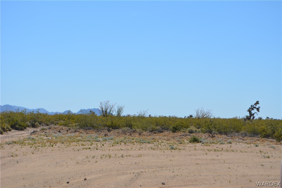 15355 Joshua Road Yucca, AZ 86438 - Photo 20 of 37