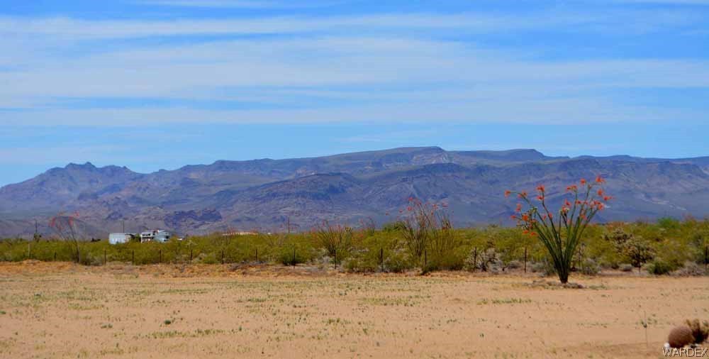 15355 Joshua Road Yucca, AZ 86438 - Photo 21 of 37