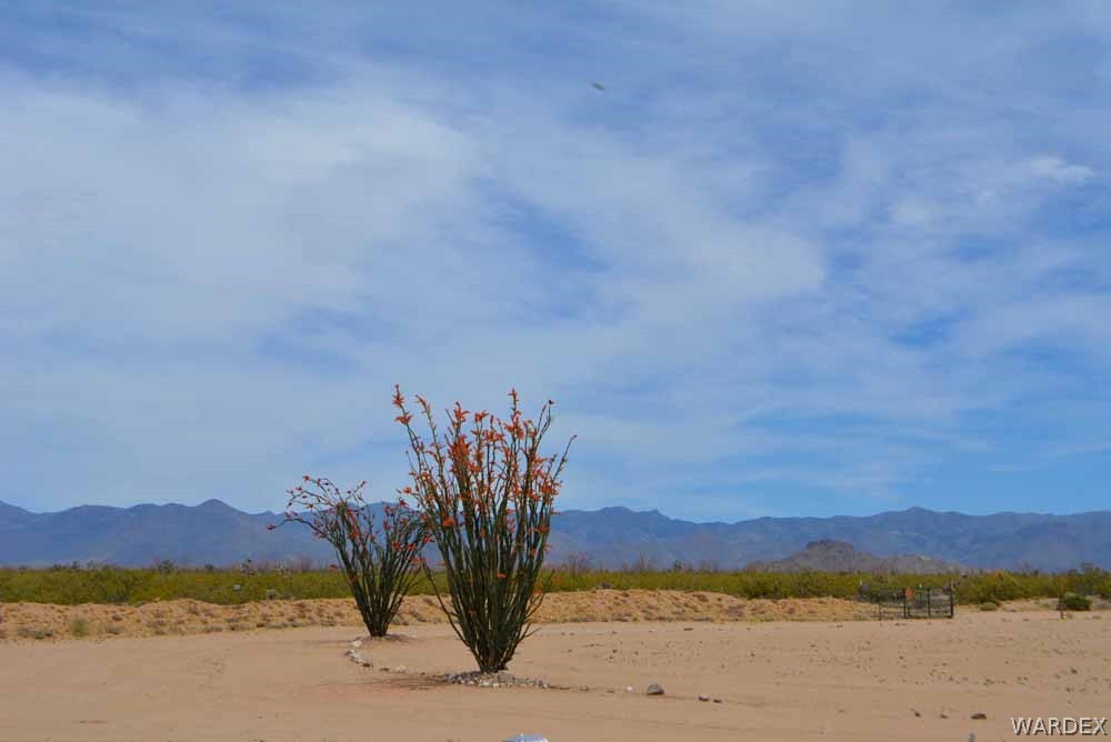 15355 Joshua Road Yucca, AZ 86438 - Photo 23 of 37