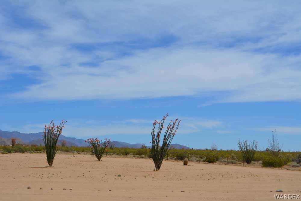 15355 Joshua Road Yucca, AZ 86438 - Photo 25 of 37