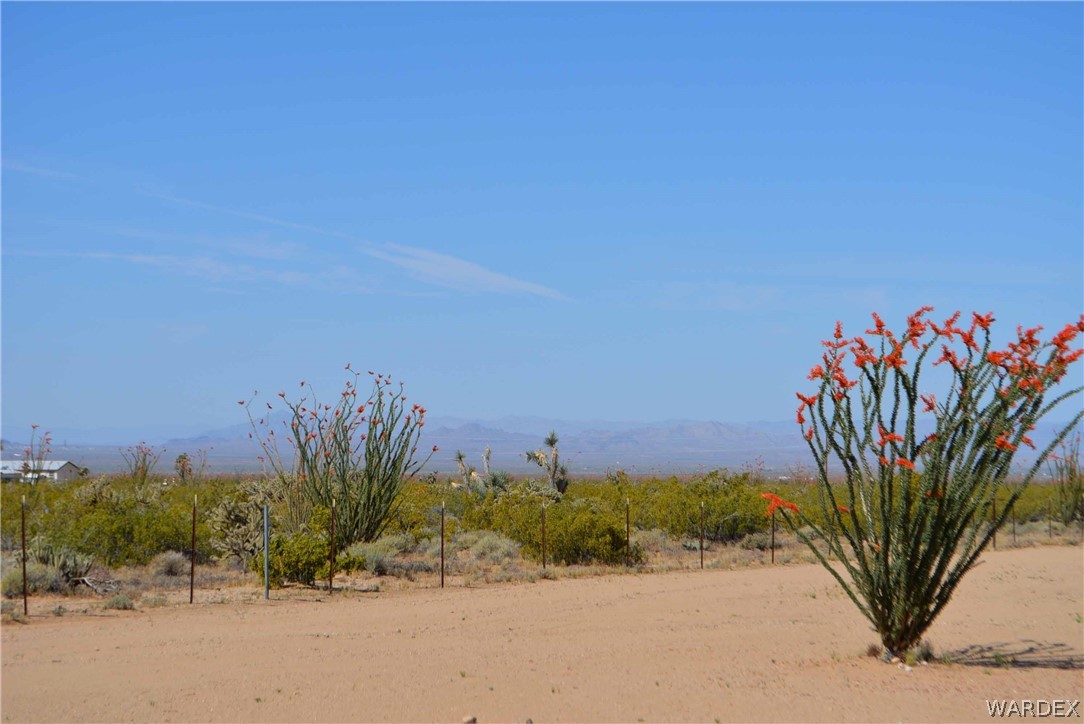 15355 Joshua Road Yucca, AZ 86438 - Photo 29 of 37