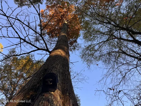 $850,000 | 3114 County Road 212, Water Valley, MS 38965