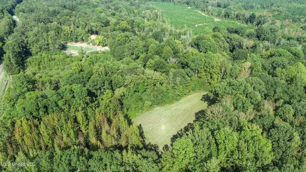 $850,000 | 3114 County Road 212, Water Valley, MS 38965