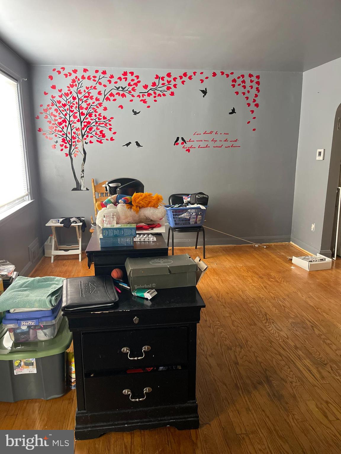 5608 Sagra Road Baltimore, MD 21239 - Photo 3 of 17 Living room