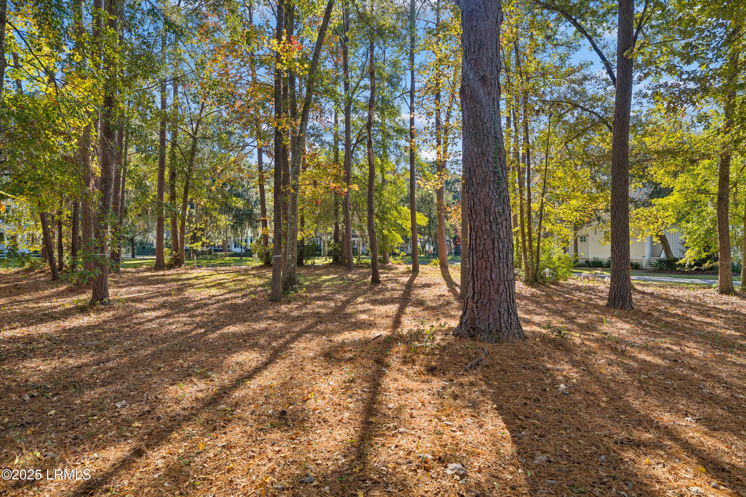7 North Loudon Beaufort, SC 29906 - Photo 11 of 40 7NLoudenLot-IslandHouseMedia-0008