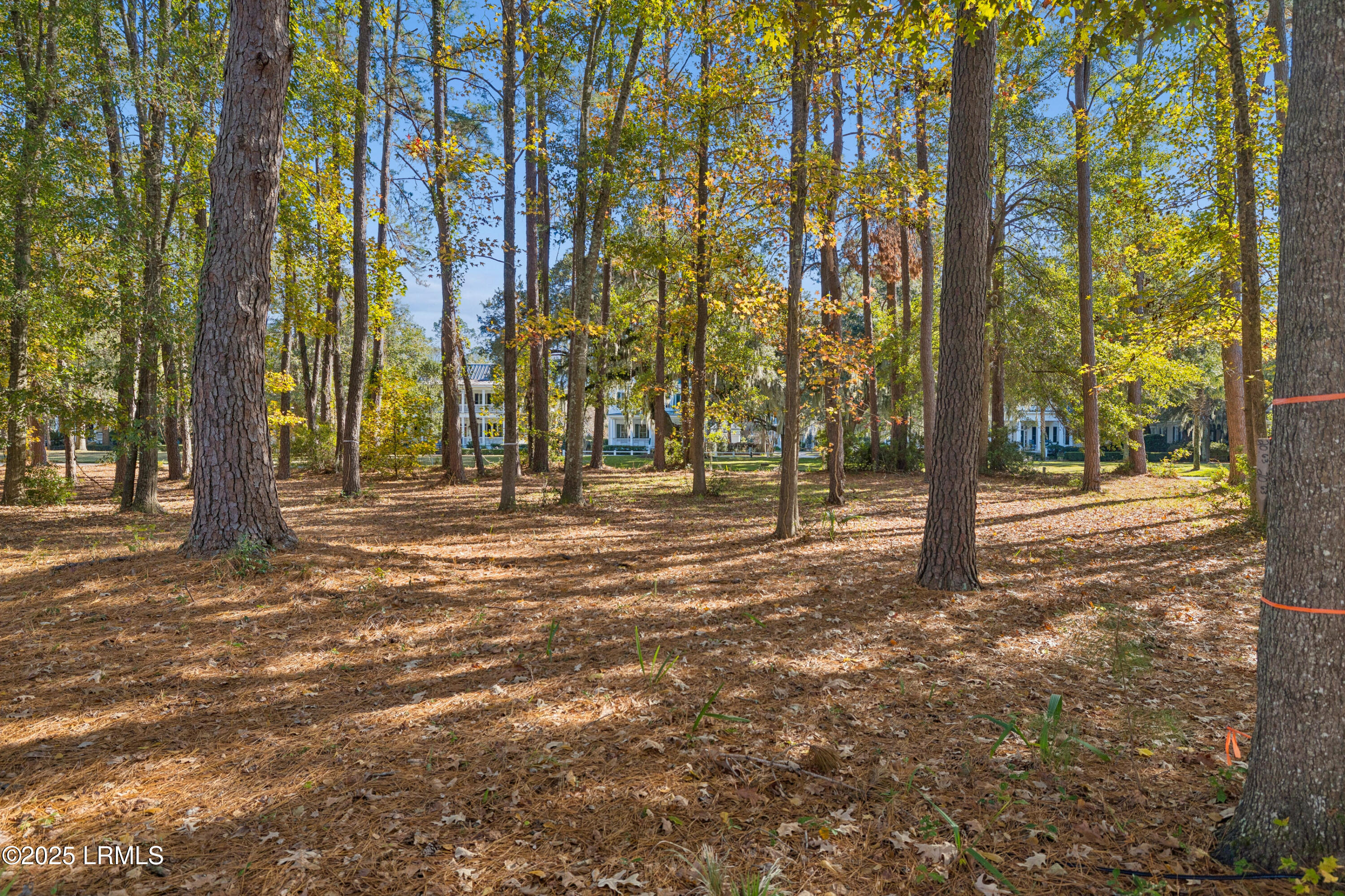 7 North Loudon Beaufort, SC 29906 - Photo 12 of 40 7NLoudenLot-IslandHouseMedia-0009