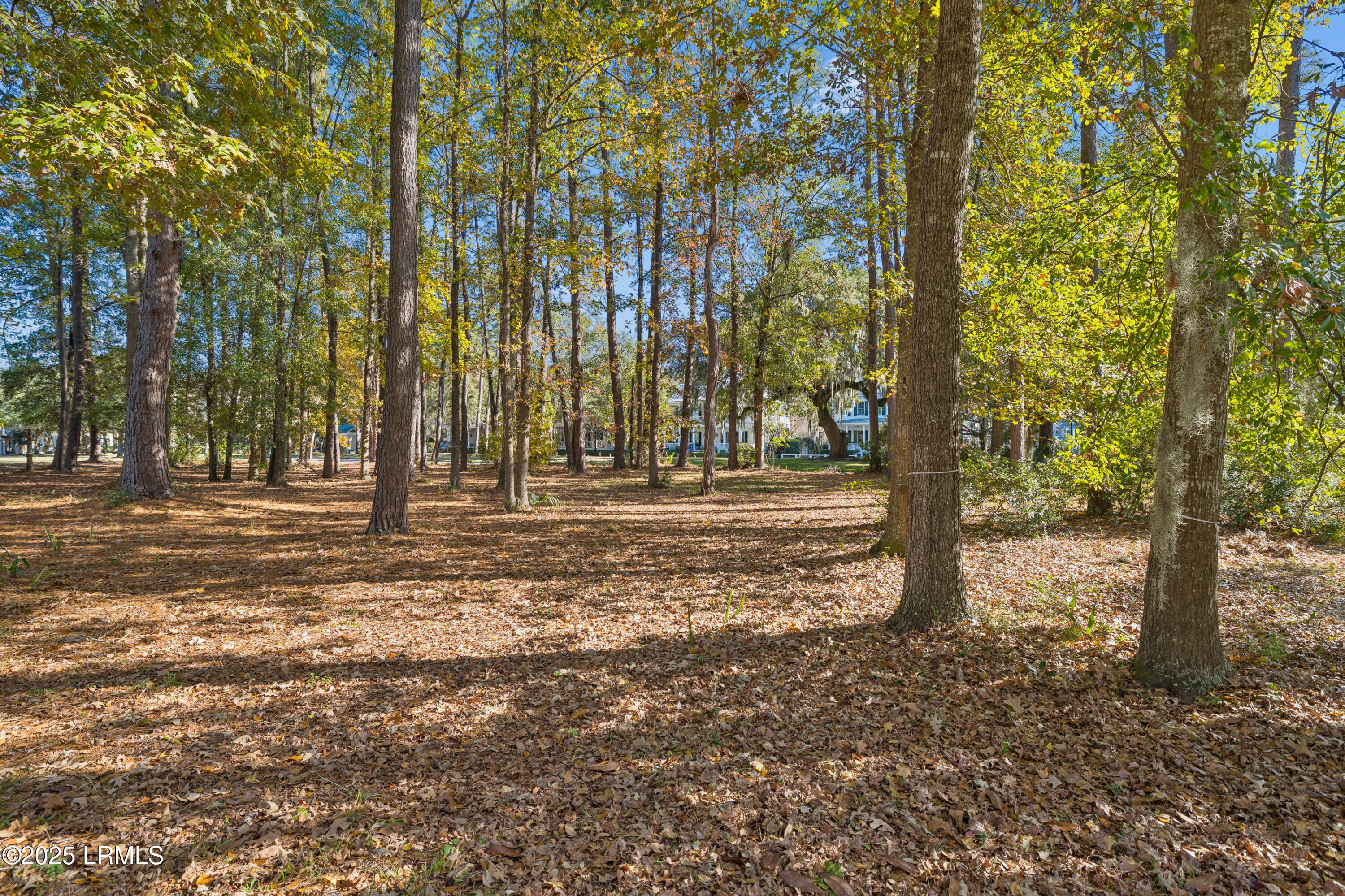 7 North Loudon Beaufort, SC 29906 - Photo 13 of 40 7NLoudenLot-IslandHouseMedia-0010