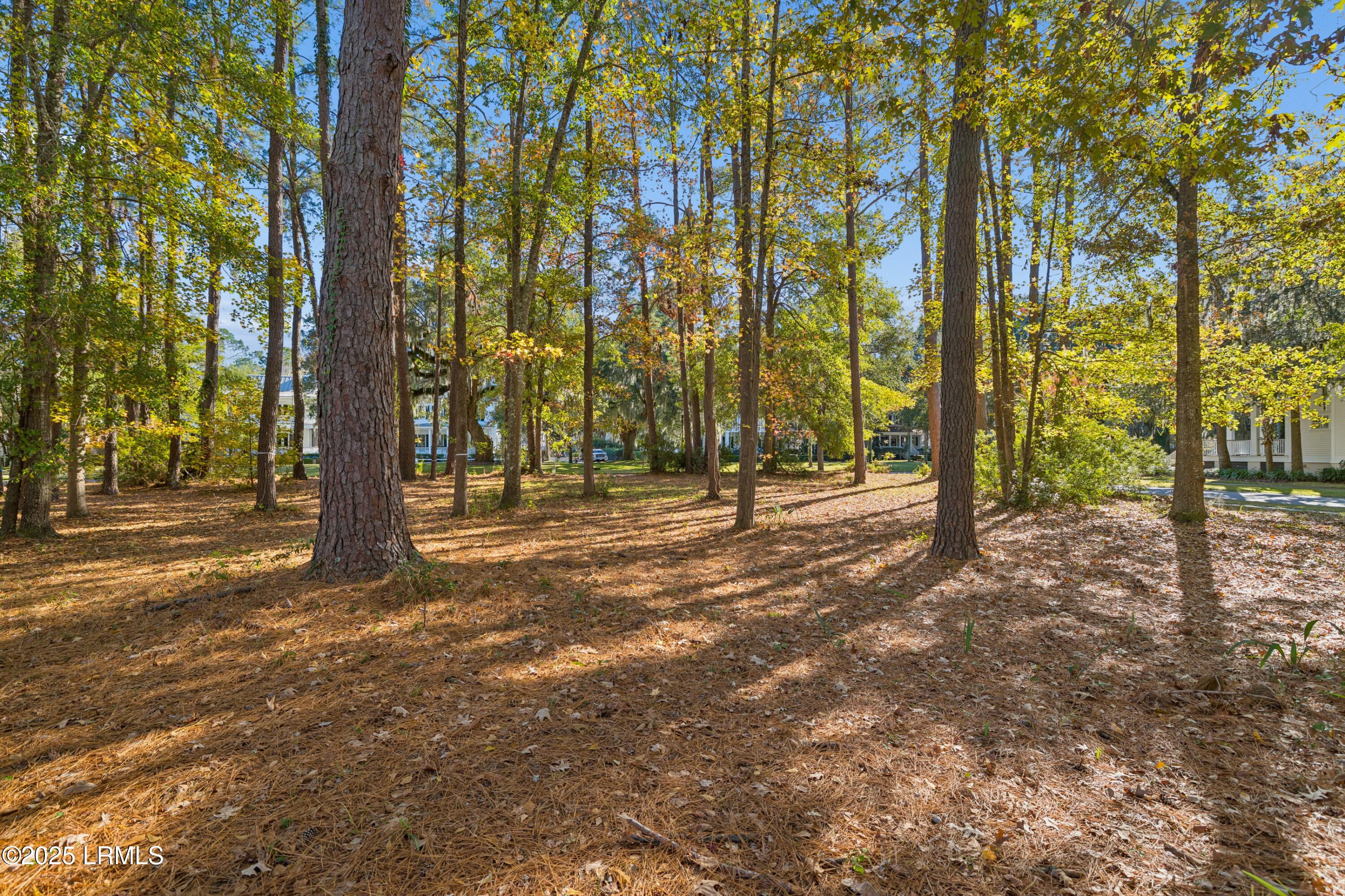 7 North Loudon Beaufort, SC 29906 - Photo 14 of 40 7NLoudenLot-IslandHouseMedia-0011