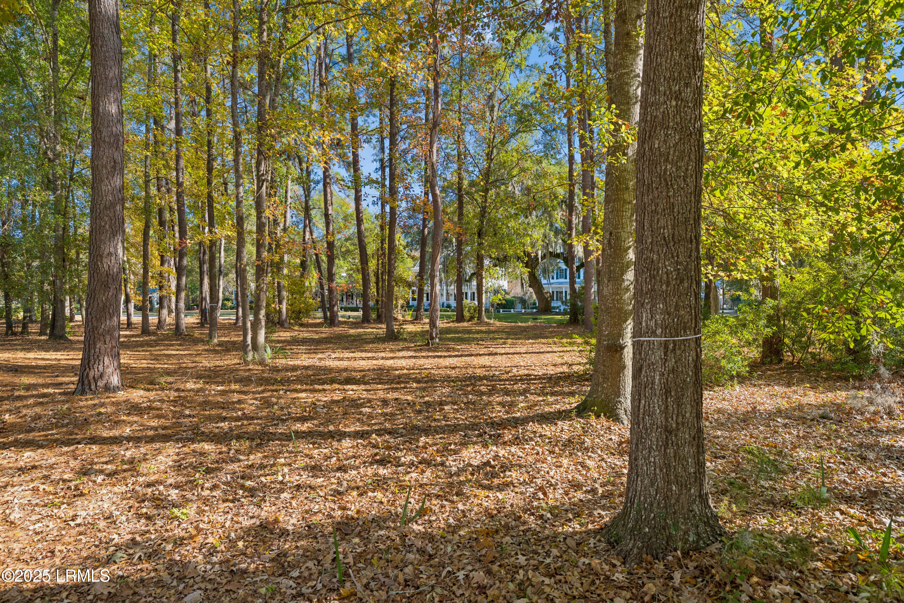7 North Loudon Beaufort, SC 29906 - Photo 15 of 40 7NLoudenLot-IslandHouseMedia-0012