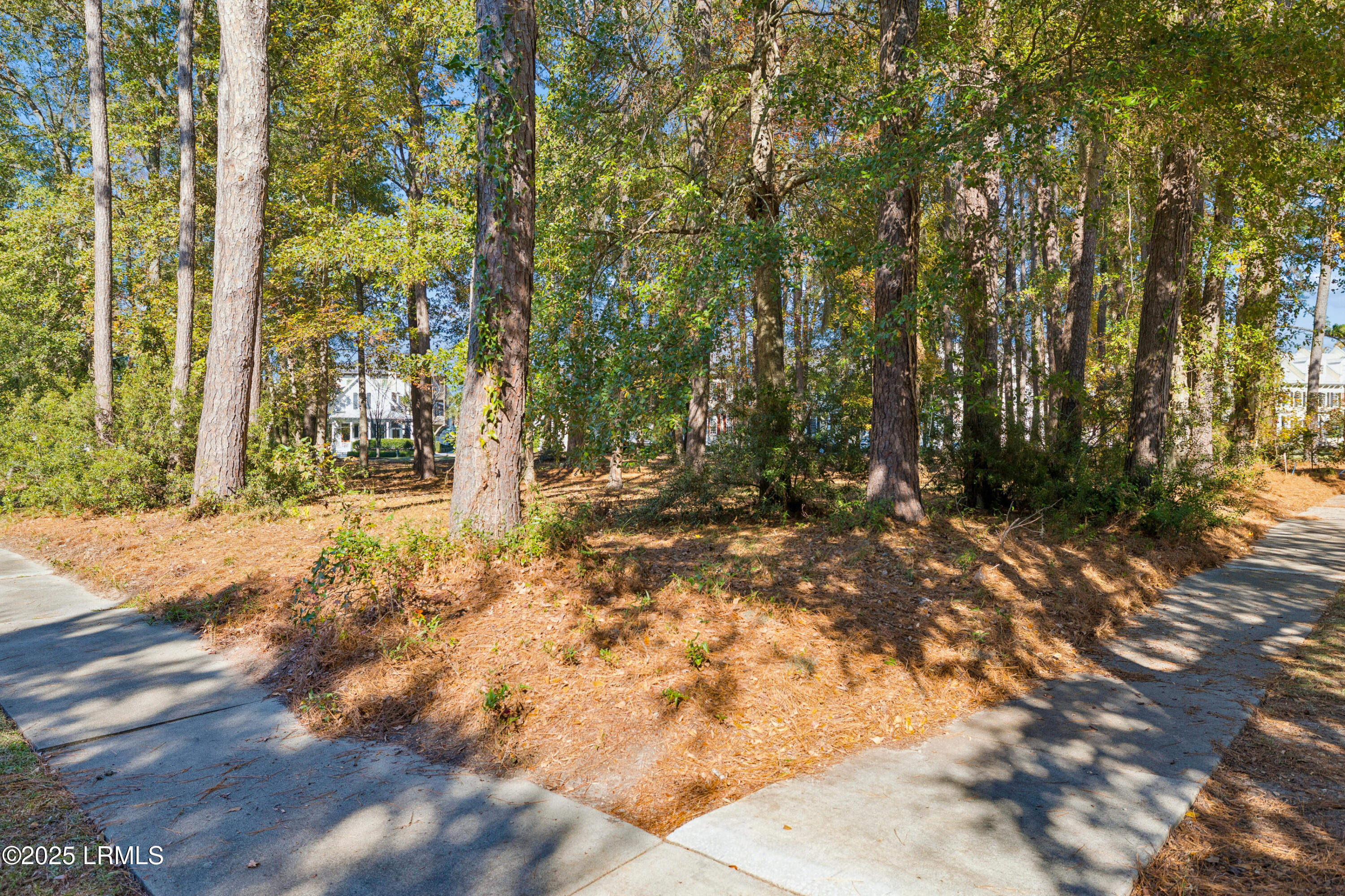 7 North Loudon Beaufort, SC 29906 - Photo 3 of 40 7NLoudenLot-IslandHouseMedia-0015