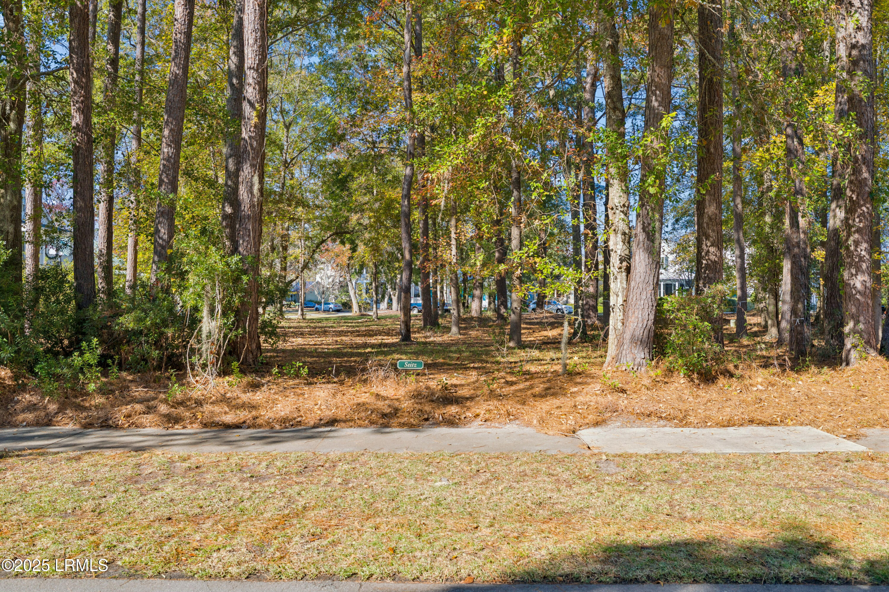 7 North Loudon Beaufort, SC 29906 - Photo 4 of 40 7NLoudenLot-IslandHouseMedia-0001